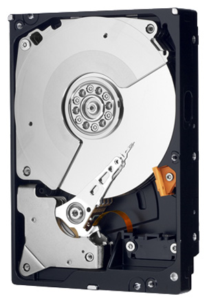 Восстановление данных Western Digital WD1001FALS