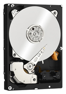 Восстановление данных Western Digital WD1001FYYG