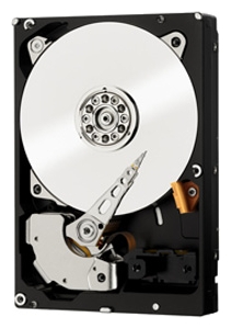 Восстановление данных Western Digital WD1002F9YZ