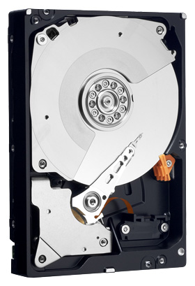 Восстановление данных Western Digital WD1002FBYS