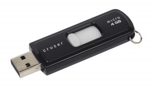 SanDisk Cruzer USB 4GB ThumbDrive